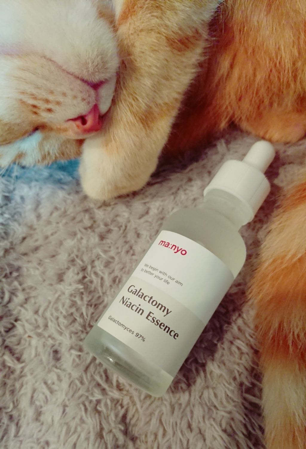 ガラクトミセスナイアシンエッセンス/manyo/ブースター・導入液を使ったクチコミ（1枚目）
