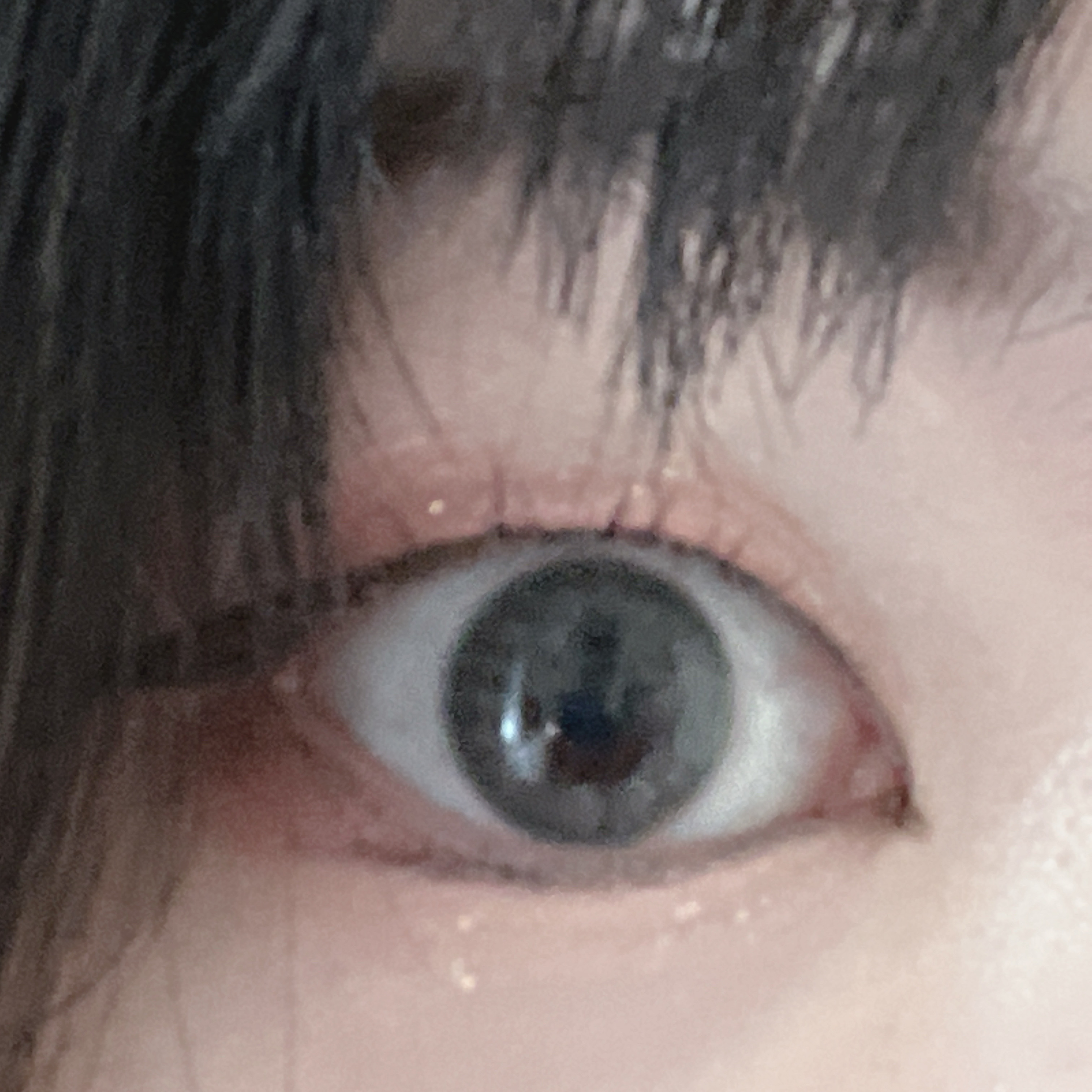 LIL MOON 1day/LILMOON/ワンデー（１DAY）カラコンを使ったクチコミ（1枚目）