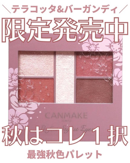 パーフェクトスタイリストアイズ/キャンメイク/アイシャドウパレットを使ったクチコミ(1枚目)