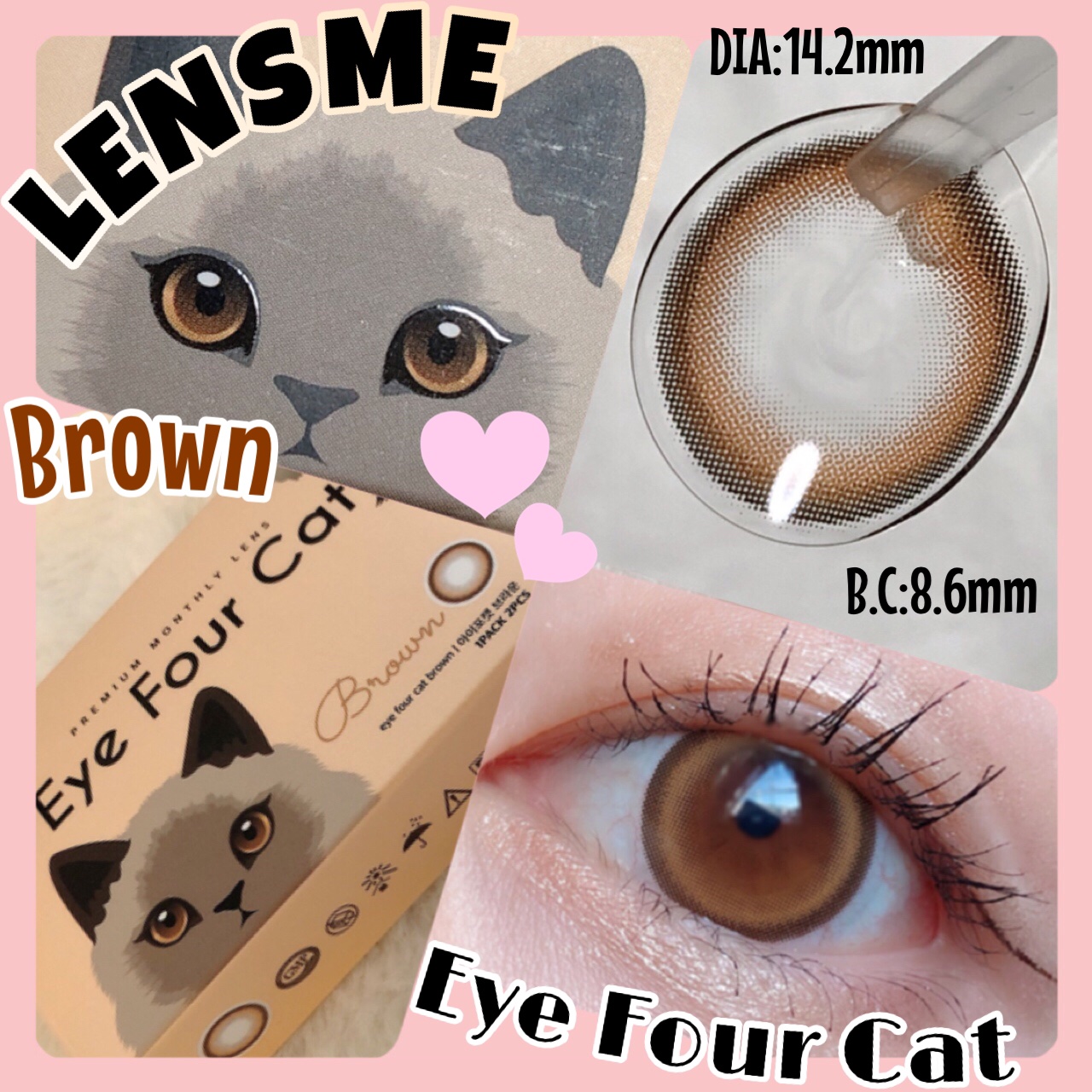 Eye Four Cat/LENSME/カラーコンタクトレンズを使ったクチコミ（1枚目）