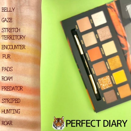 エクスプローラ12色 動物アイシャドウパレット/PERFECT DIARY/アイシャドウパレットを使ったクチコミ(7枚目)