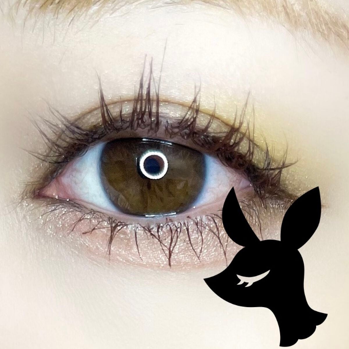 リアルクローズシャドウ/excel/アイシャドウパレットを使ったクチコミ(6枚目)