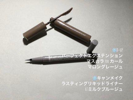 ラスティングリキッドライナー/キャンメイク/リキッドアイライナーを使ったクチコミ(6枚目)