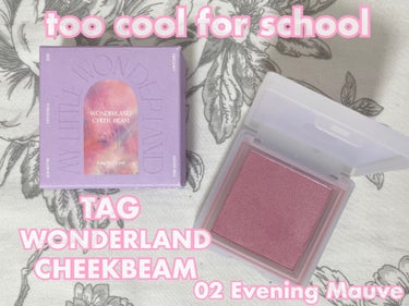 too cool for school TAG CHEEK BEAMのクチコミ「#コスメ購入品

too cool for school
TAG WONDERLAND CHE.....」（1枚目）