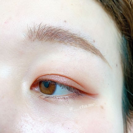 リュクスアイシャドウ/BOBBI BROWN/単色アイシャドウを使ったクチコミ(3枚目)