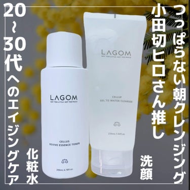 エッセンストナー/LAGOM /化粧水を使ったクチコミ（2枚目）