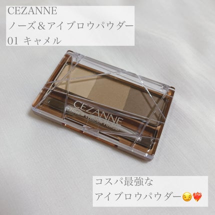 ノーズ&アイブロウパウダー/CEZANNE/パウダーアイブロウを使ったクチコミ(1枚目)