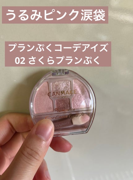 プランぷくコーデアイズ/キャンメイク/パウダーアイシャドウを使ったクチコミ(1枚目)