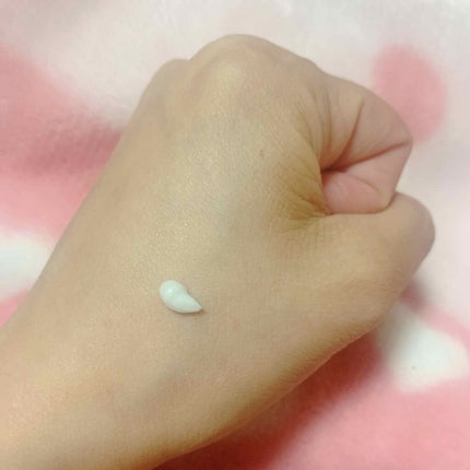 ラスティングマルチアイベース WP/キャンメイク/アイシャドウベースを使ったクチコミ(2枚目)