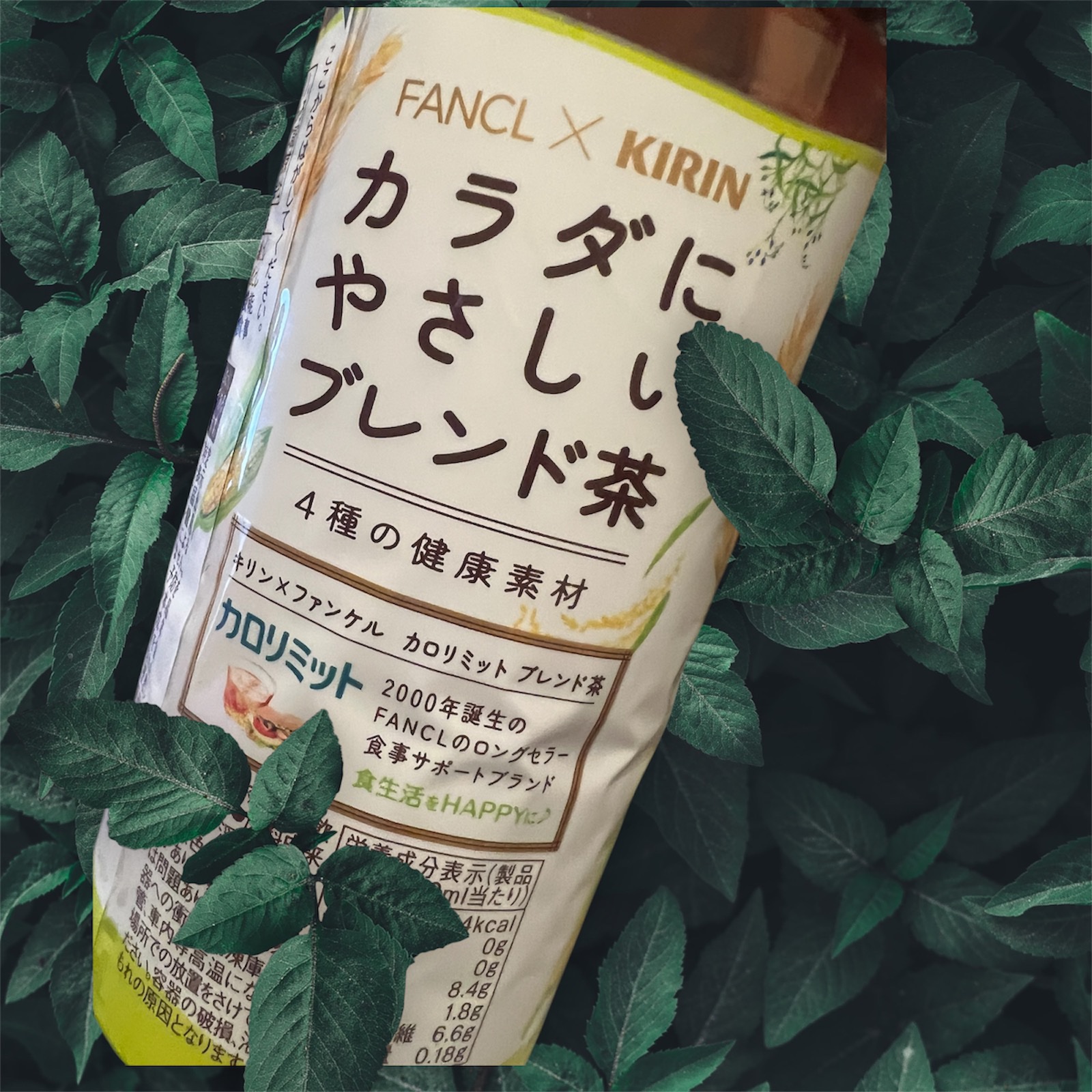 キリン×ファンケル カロリミット ブレンド茶/ファンケル/ドリンクを使ったクチコミ（2枚目）