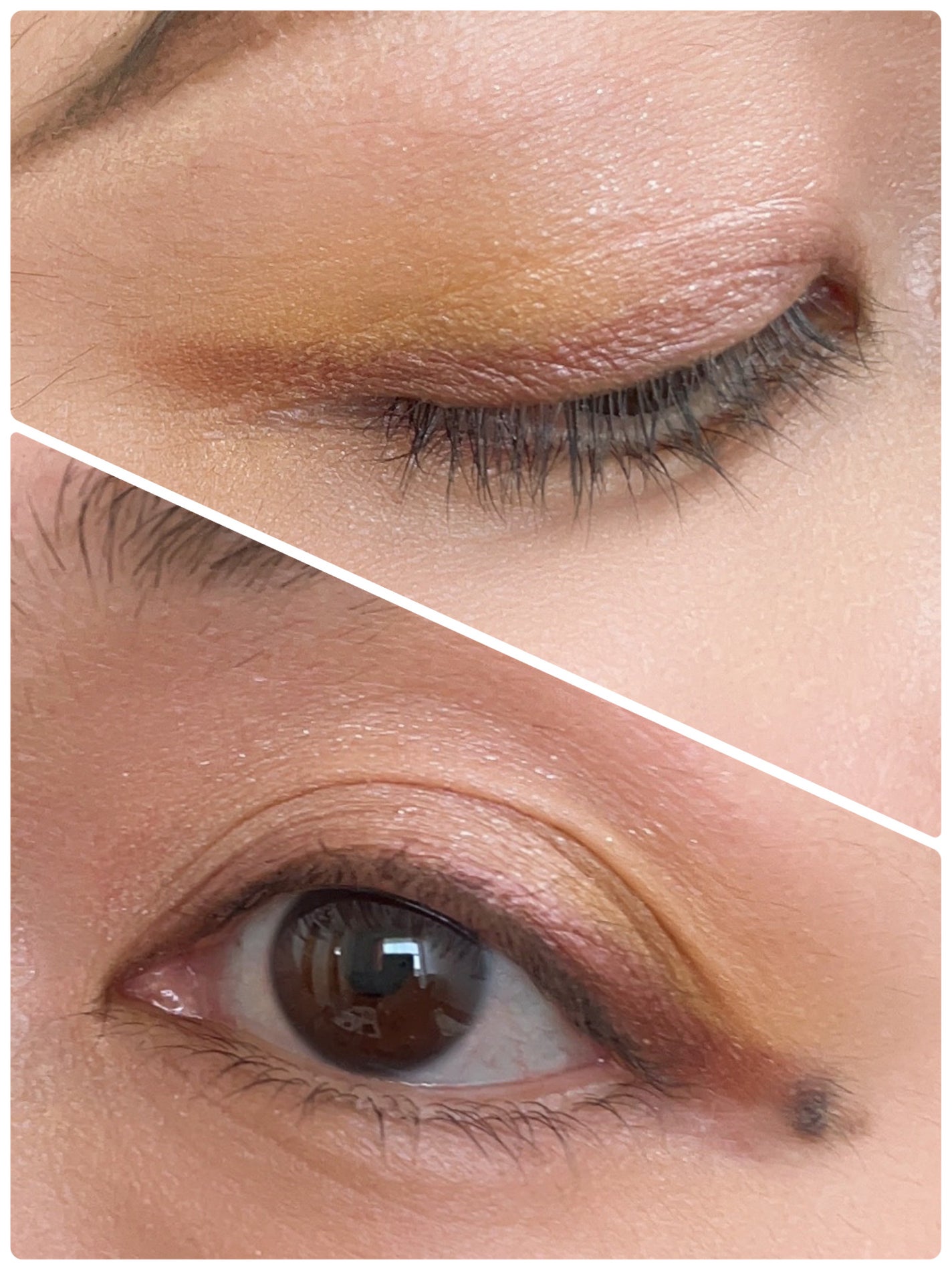 シグニチャー カラー アイズ/SUQQU/アイシャドウパレットを使ったクチコミ(2枚目)