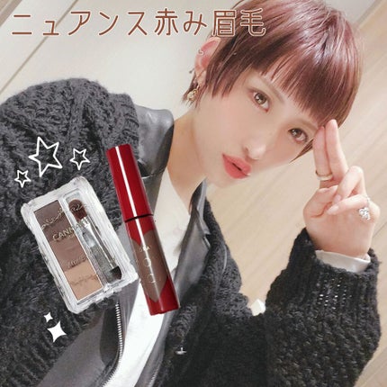 ミックスアイブロウ/キャンメイク/パウダーアイブロウを使ったクチコミ(1枚目)