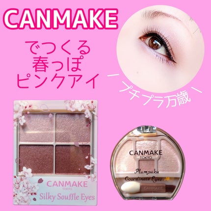シルキースフレアイズ/キャンメイク/アイシャドウパレットを使ったクチコミ(1枚目)