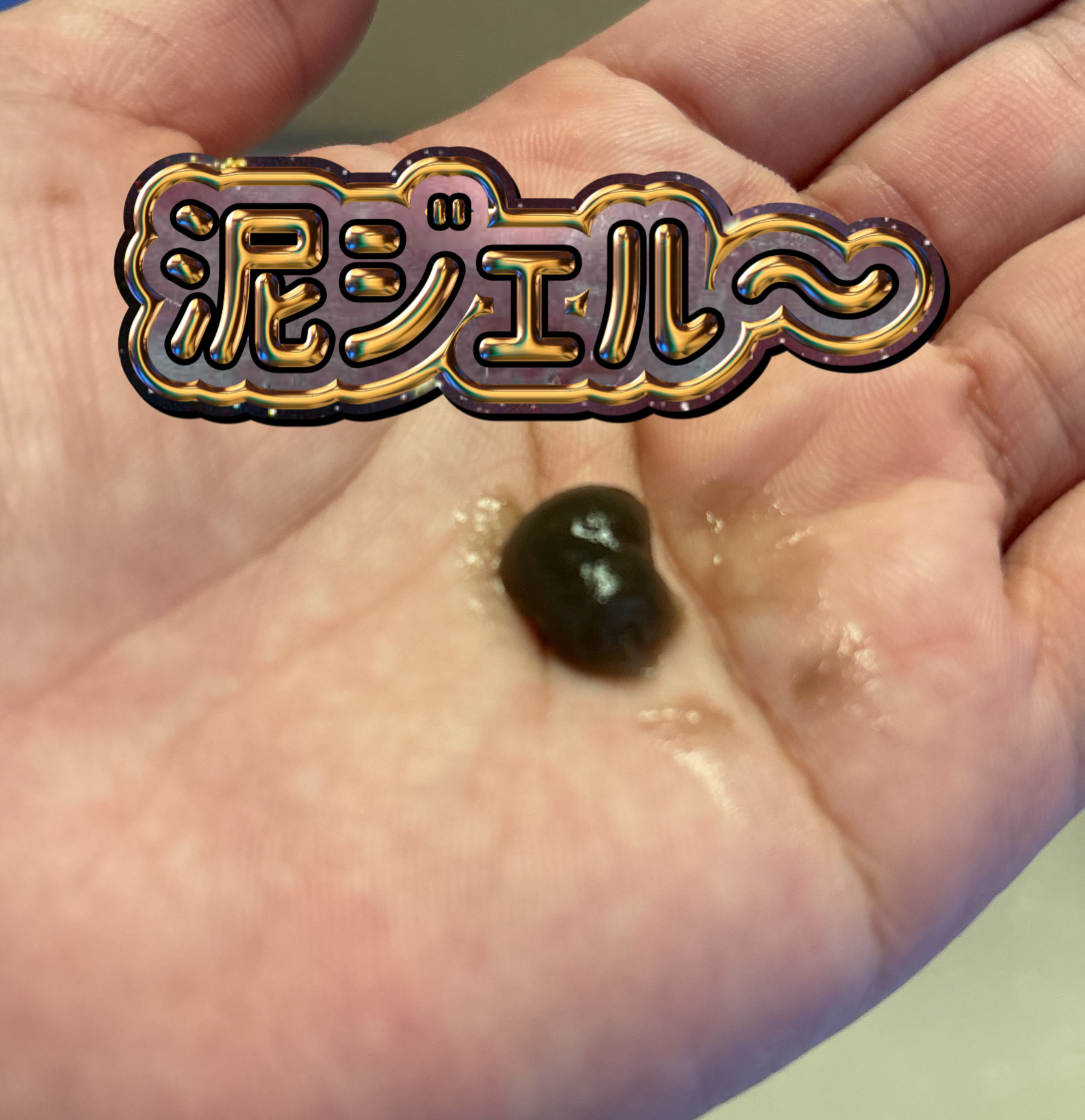 泥ジェル洗顔/ファンケル/その他洗顔料を使ったクチコミ（2枚目）