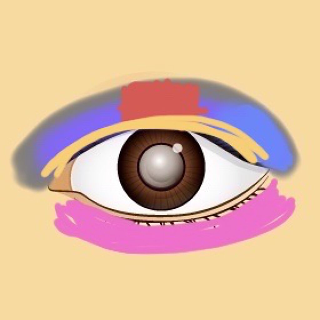 UR GLAM　BLOOMING EYE COLOR PALETTE/U R GLAM/アイシャドウパレットを使ったクチコミ（3枚目）