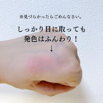 フォギーオンチークス N/Visée/パウダーチークを使ったクチコミ(3枚目)