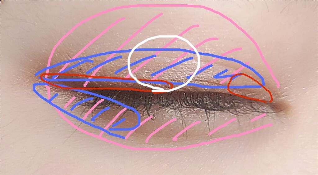 アイ カラー(チップ付)/ちふれ/アイシャドウパレットを使ったクチコミ(2枚目)