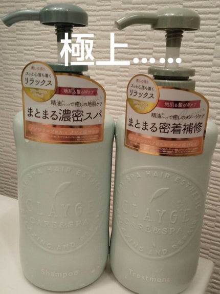 シャンプー/トリートメントR /CLAYGE/シャンプー・コンディショナーを使ったクチコミ(1枚目)