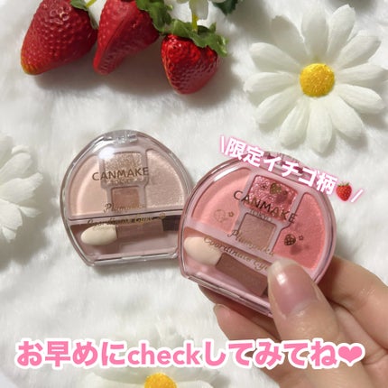 プランぷくコーデアイズ/キャンメイク/パウダーアイシャドウを使ったクチコミ(8枚目)