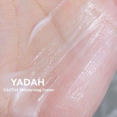 カクタス保湿クリーム/YADAH/フェイスクリームを使ったクチコミ（4枚目）