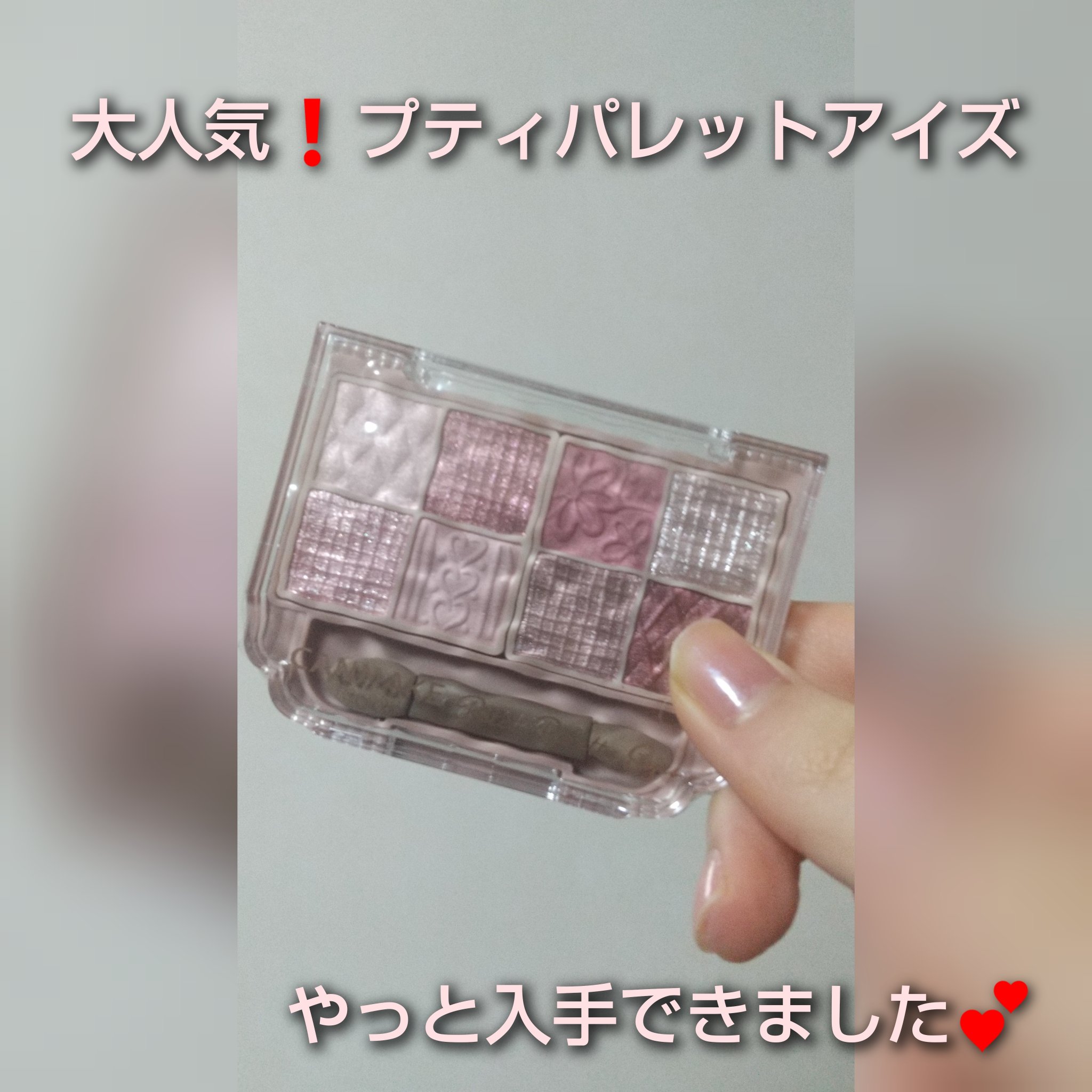 プティパレットアイズ/キャンメイク/パウダーアイシャドウを使ったクチコミ（1枚目）