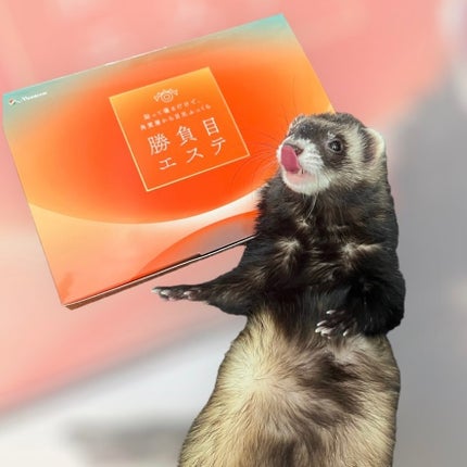 マイクロニードルヒアルロン酸パック 勝負目エステ/メニコン/シートマスク・パックを使ったクチコミ(1枚目)