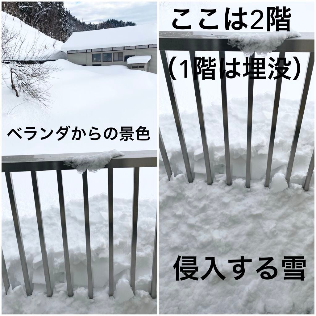 テ・アールグレイ シア シャワーホイップ/L'OCCITANE/ボディソープを使ったクチコミ(2枚目)