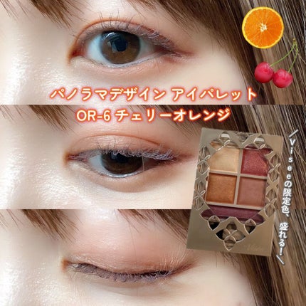 パノラマデザイン アイパレット/Visée/アイシャドウパレットを使ったクチコミ(1枚目)