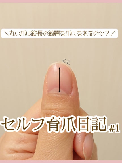 シア ネイルオイル/L'OCCITANE/ネイルオイル・トリートメントを使ったクチコミ(1枚目)