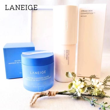 ウォータースリーピングマスク/LANEIGE/フェイスクリームを使ったクチコミ（1枚目）