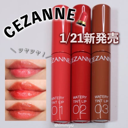 グラスティングウォーターティント/rom&nd/リップティントを使ったクチコミ(1枚目)