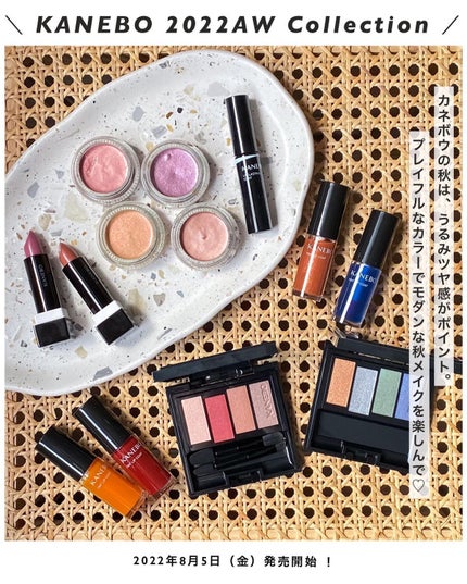 ティントリップコート/KANEBO/リップグロスを使ったクチコミ(2枚目)