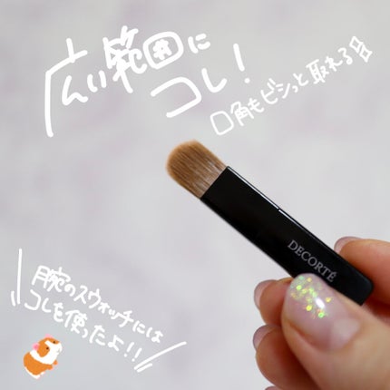 トーンパーフェクティング パレット/DECORTÉ/パレットコンシーラーを使ったクチコミ(6枚目)