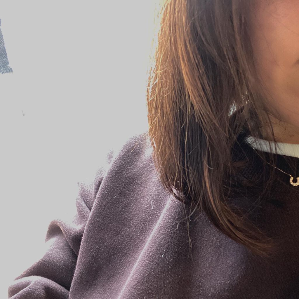 シルキー スムースモイスチャー シャンプー 1.0/ヘアトリートメント 2.0/&honey/市販シャンプーを使ったクチコミ(3枚目)