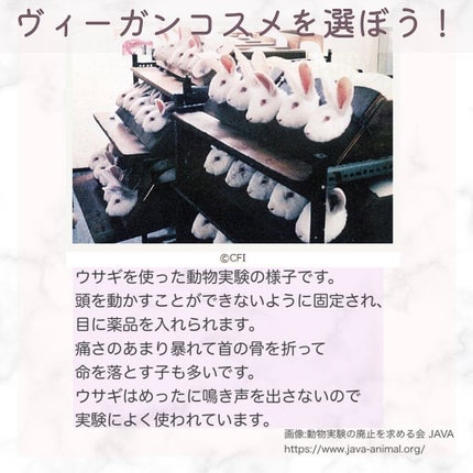 ラスティングフィット アイライナー/susurro/リキッドアイライナーを使ったクチコミ(6枚目)