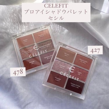 プロアイシャドウパレットセシル/CELEFIT/アイシャドウパレットを使ったクチコミ（3枚目）