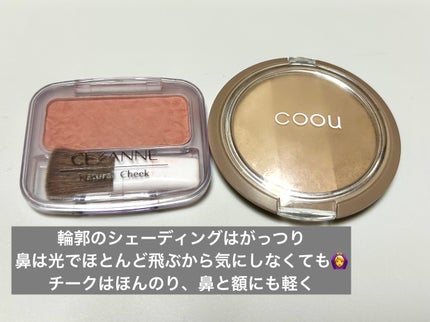 ラスティングマルチアイベース WP/キャンメイク/アイシャドウベースを使ったクチコミ(6枚目)