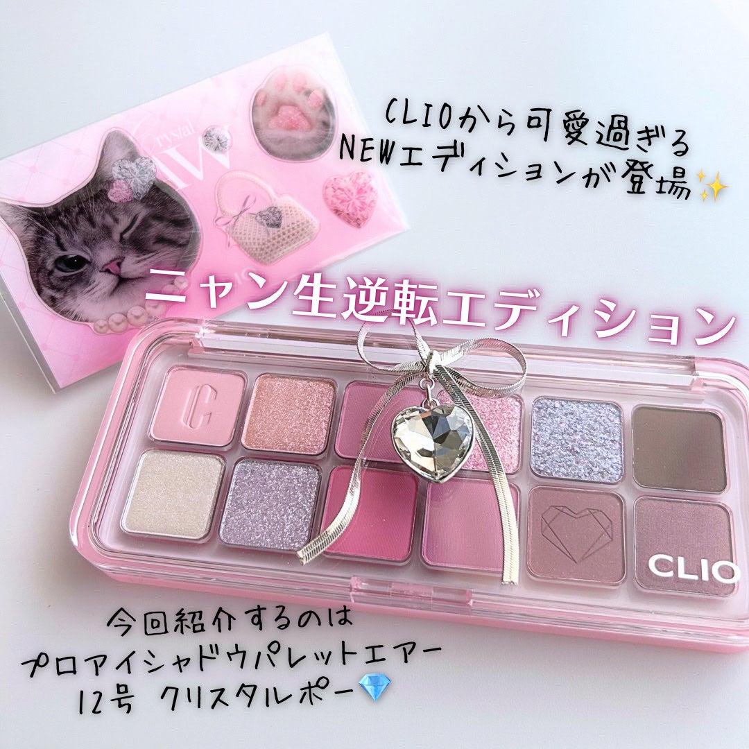 プロ アイ パレット エアー/CLIO/アイシャドウパレットを使ったクチコミ(2枚目)