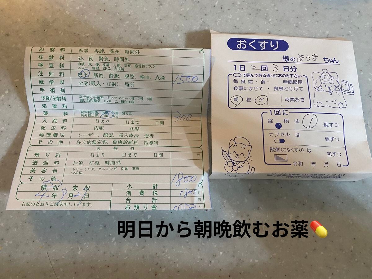 SHEINピアス/SHEIN/その他を使ったクチコミ(8枚目)