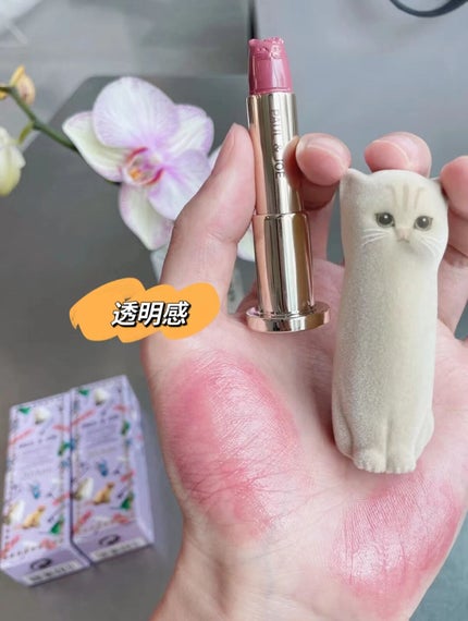 アニバーサリー リップスティック ケース 002 ヌネット/PAUL & JOE BEAUTE/その他化粧小物を使ったクチコミ(3枚目)