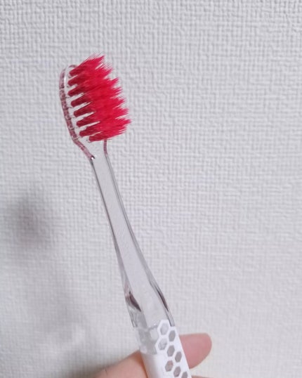 あずきるん on LIPS 「.プログリップハブラシはどれもカラーがかわいく立て掛けているだ..」(6枚目)