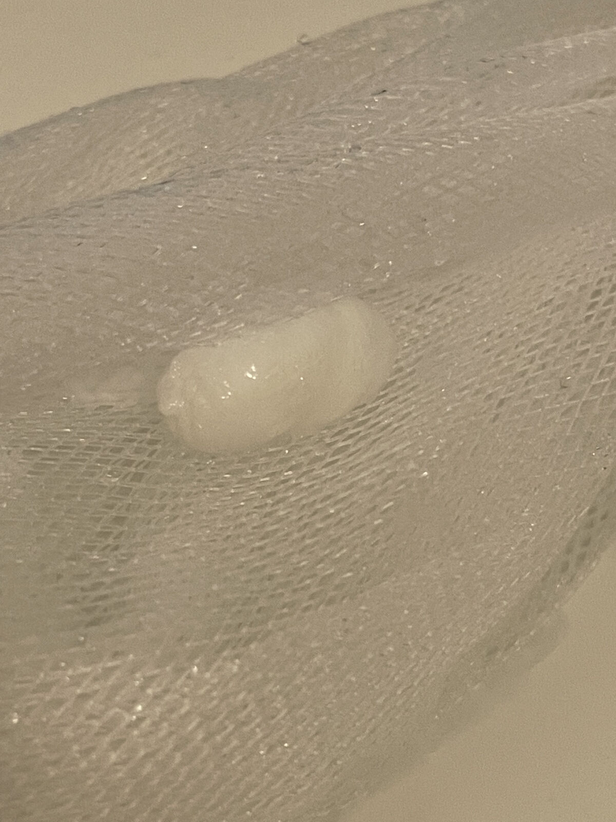 プロシカ アミノ酸 クレンジング フォーム/VT/洗顔フォームを使ったクチコミ（3枚目）