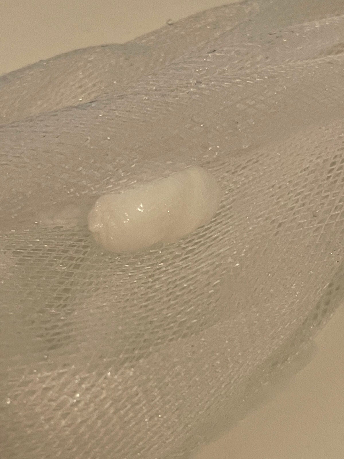 プロシカ アミノ酸 クレンジング フォーム/VT/洗顔フォームを使ったクチコミ(3枚目)