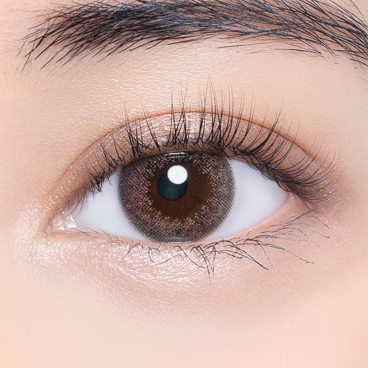 VNTUS 1day モーメント