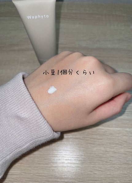 Hand Cream ハンドクリーム/Waphyto/ハンドクリームを使ったクチコミ(2枚目)