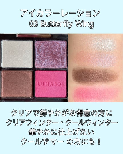 ベルベットフルアイズ/LUNASOL/アイシャドウパレットを使ったクチコミ(4枚目)