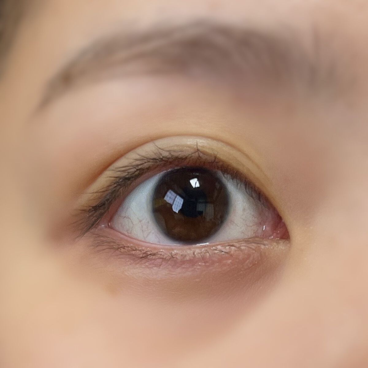 A to Z Kristin/Hapa kristin/カラーコンタクトレンズを使ったクチコミ（3枚目）