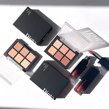 ブラーフィニシュシャドウパレット/Dinto/アイシャドウパレットを使ったクチコミ(1枚目)