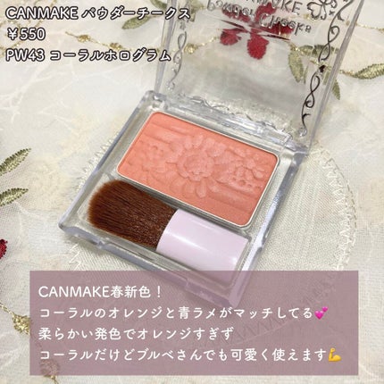 スキニーリッチシャドウ/excel/アイシャドウパレットを使ったクチコミ(6枚目)