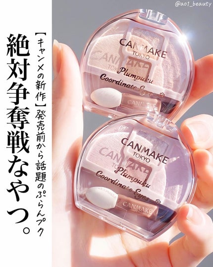 プランぷくコーデアイズ/キャンメイク/パウダーアイシャドウを使ったクチコミ(1枚目)